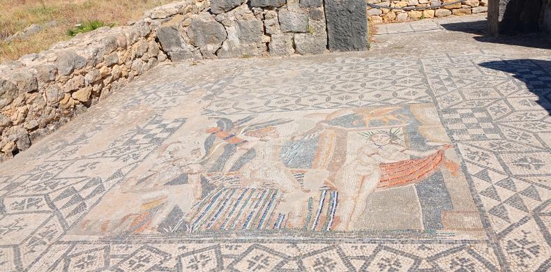 Diana's Bath, an ancient Roman mosaic at Volubilis